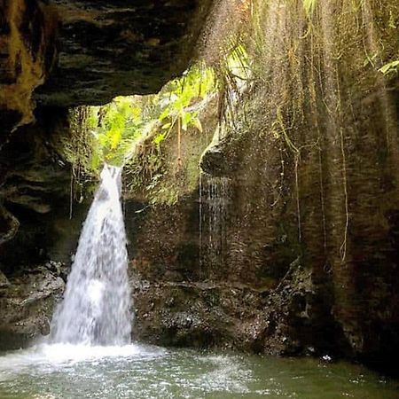 Sapak Bungalow Selong Belanak Dış mekan fotoğraf