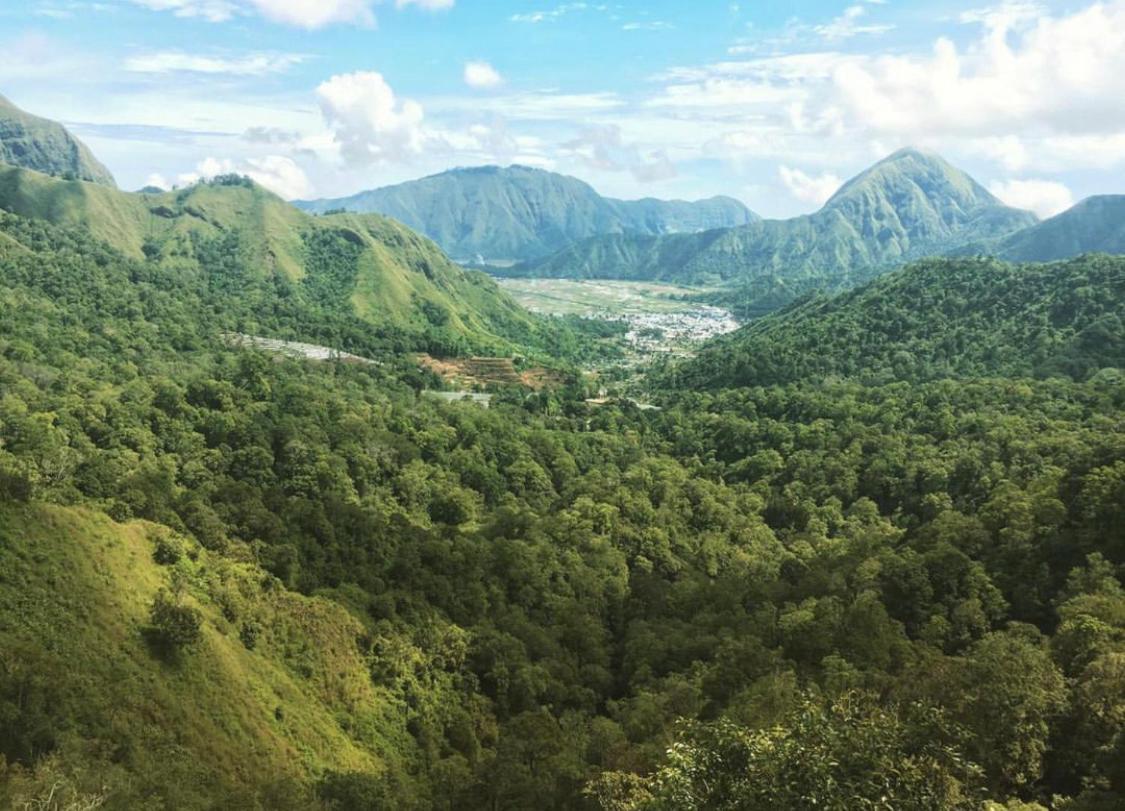 Sapak Bungalow Selong Belanak Dış mekan fotoğraf